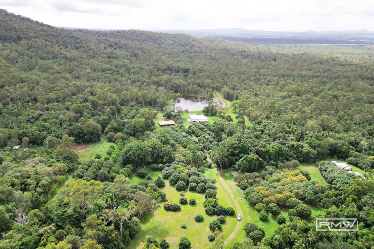 104 Castle Rock Road, Byfield QLD 4703 House for Sale Domain