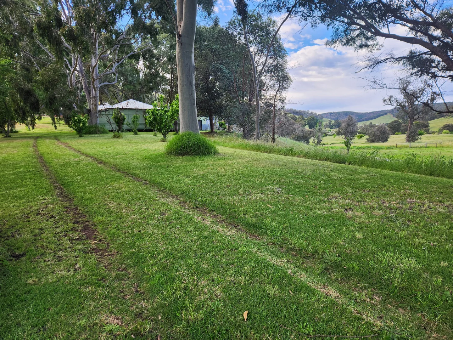 Image 14