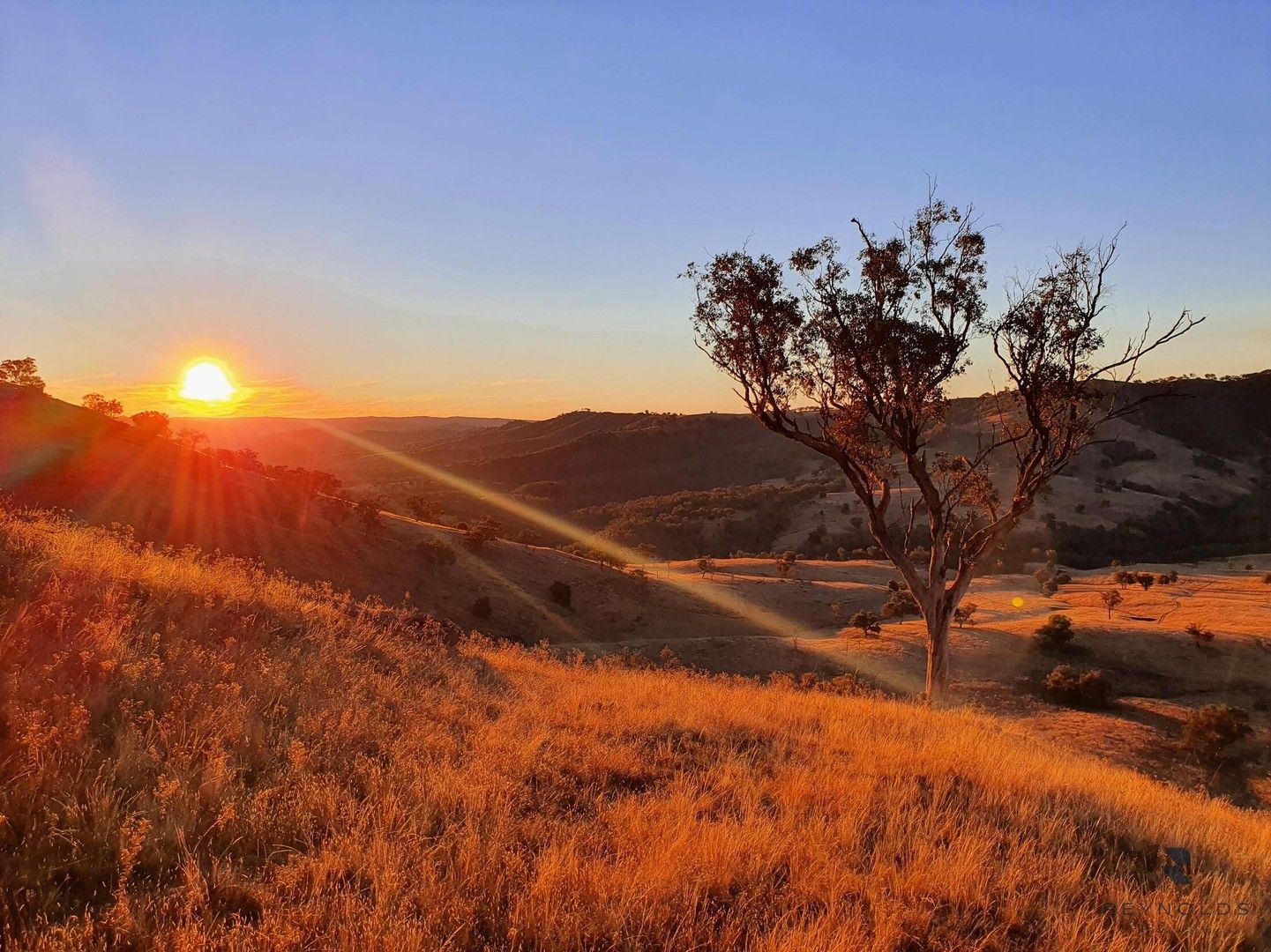 Rural in 210 Burns Road, MUDGEE NSW, 2850