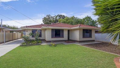 Picture of 3 Blueberry Road, PARAFIELD GARDENS SA 5107
