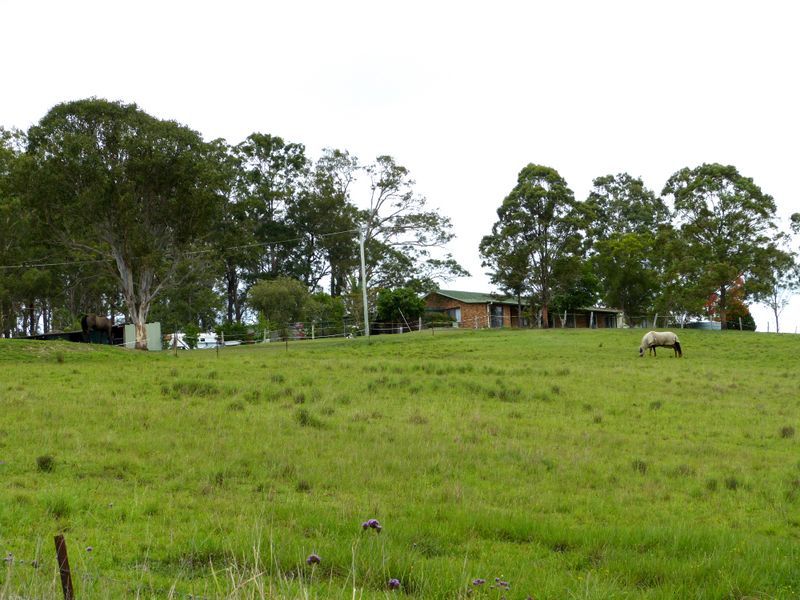 5256 Bucketts Way, BURRELL CREEK NSW 2429, Image 2