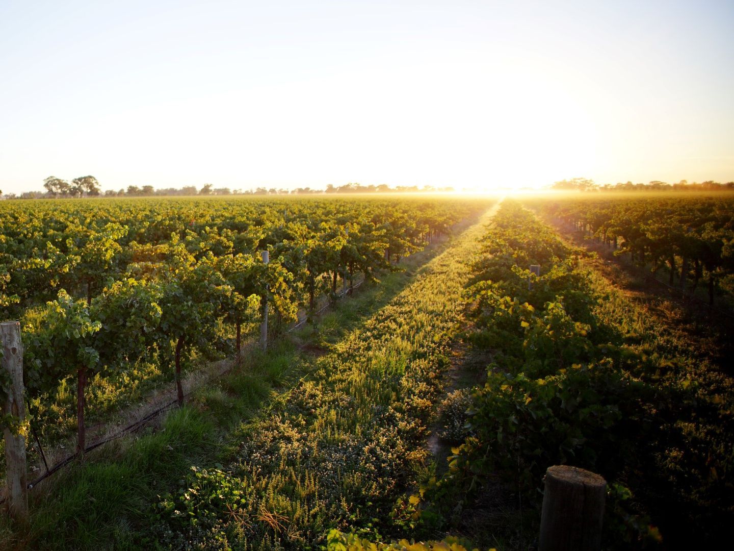 Turners Crossing, 747 Old BridgewaterSerpentine Road, Serpentine VIC