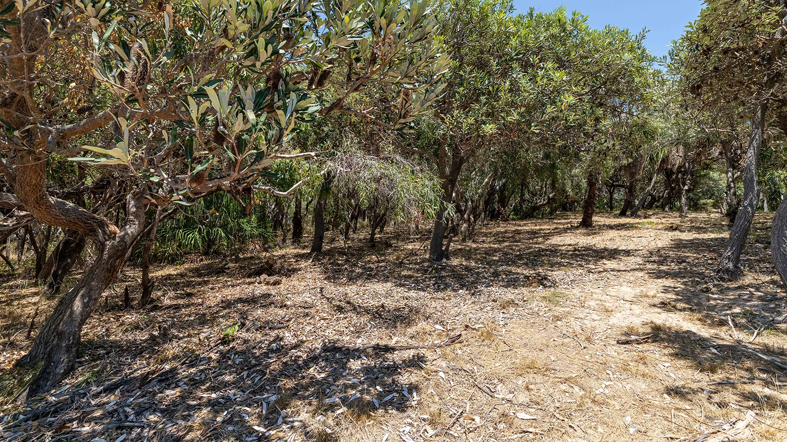 Additional image 16 of 73 Loggerhead Lane, Agnes Water QLD 4677