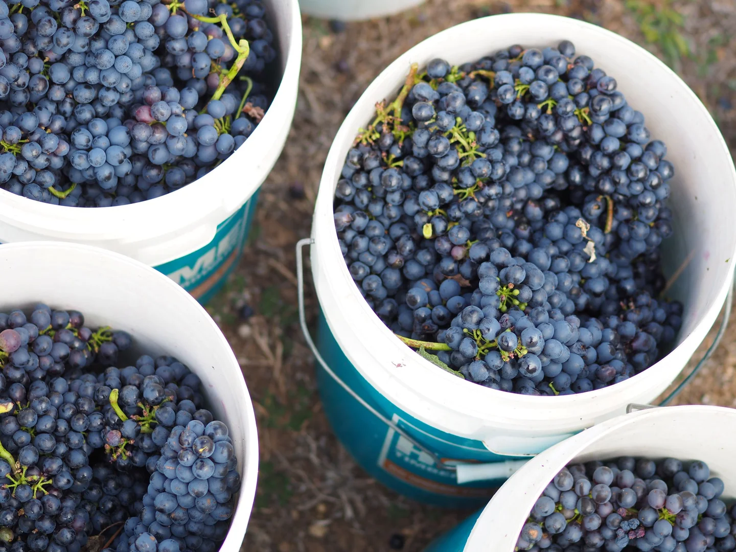 Additional image 18 of 9 Patemans Lane, Murrumbateman NSW 2582