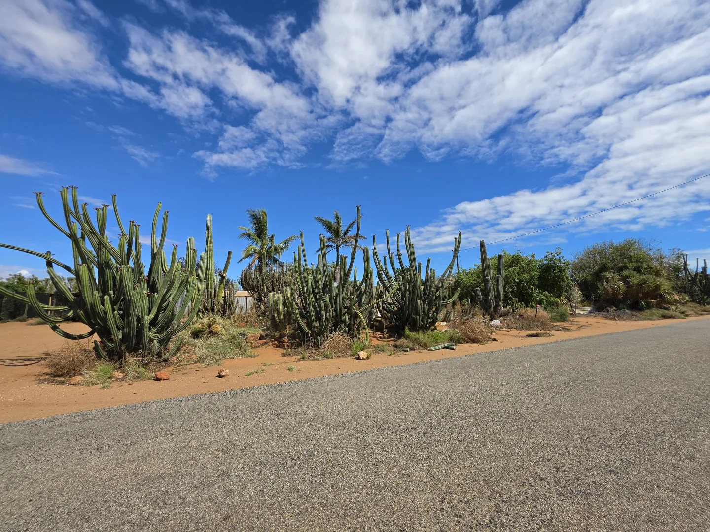 Additional image 13 of 366 South River Road, Carnarvon WA 6701