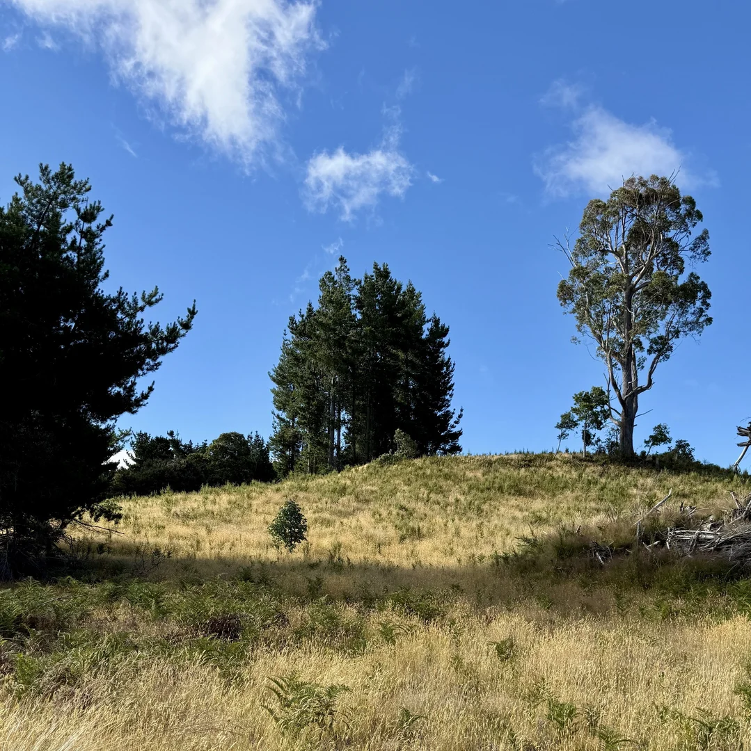 Image 12