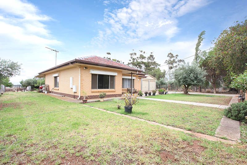 65 Campania Road South, Kudla SA 5115, Image 2