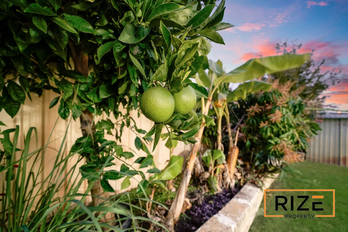 Additional image 23 of 33 Balladong Loop, Carramar WA 6031