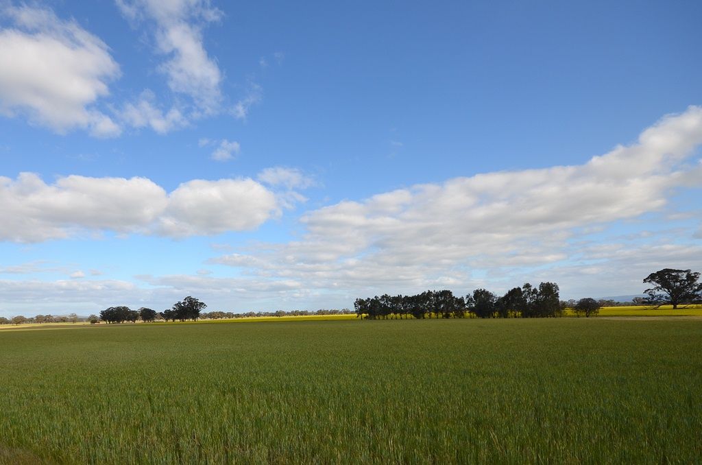 Coates Road, NATTE YALLOCK VIC 3465, Image 2