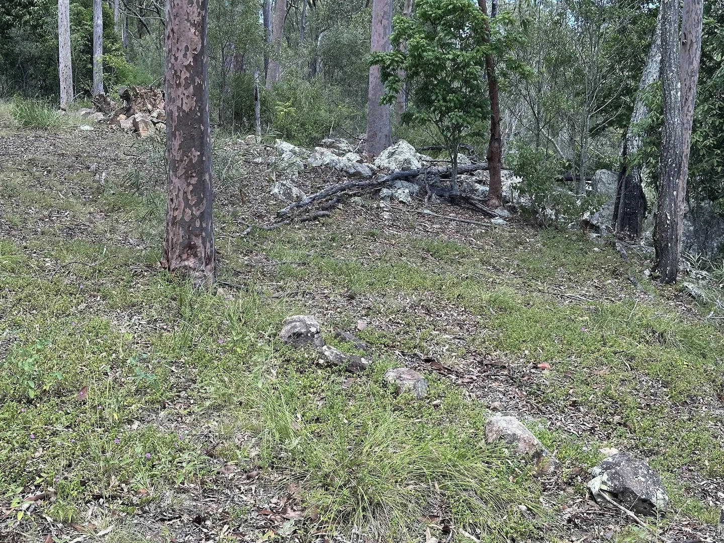 Additional image 21 of 142 Highland Street, Esk QLD 4312