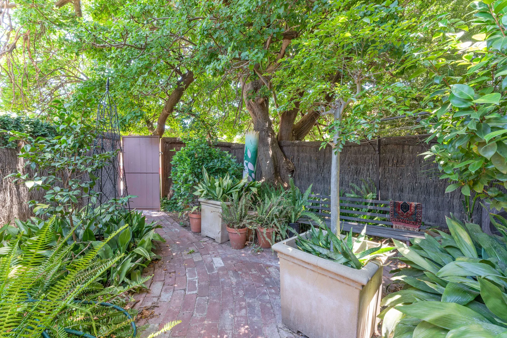 Additional image 8 of 3/3 Victoria Street, Goodwood SA 5034