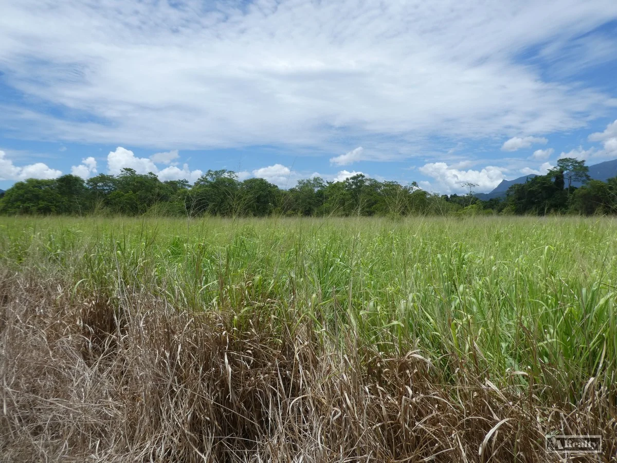 Additional image 12 of Eubenangee QLD 4860