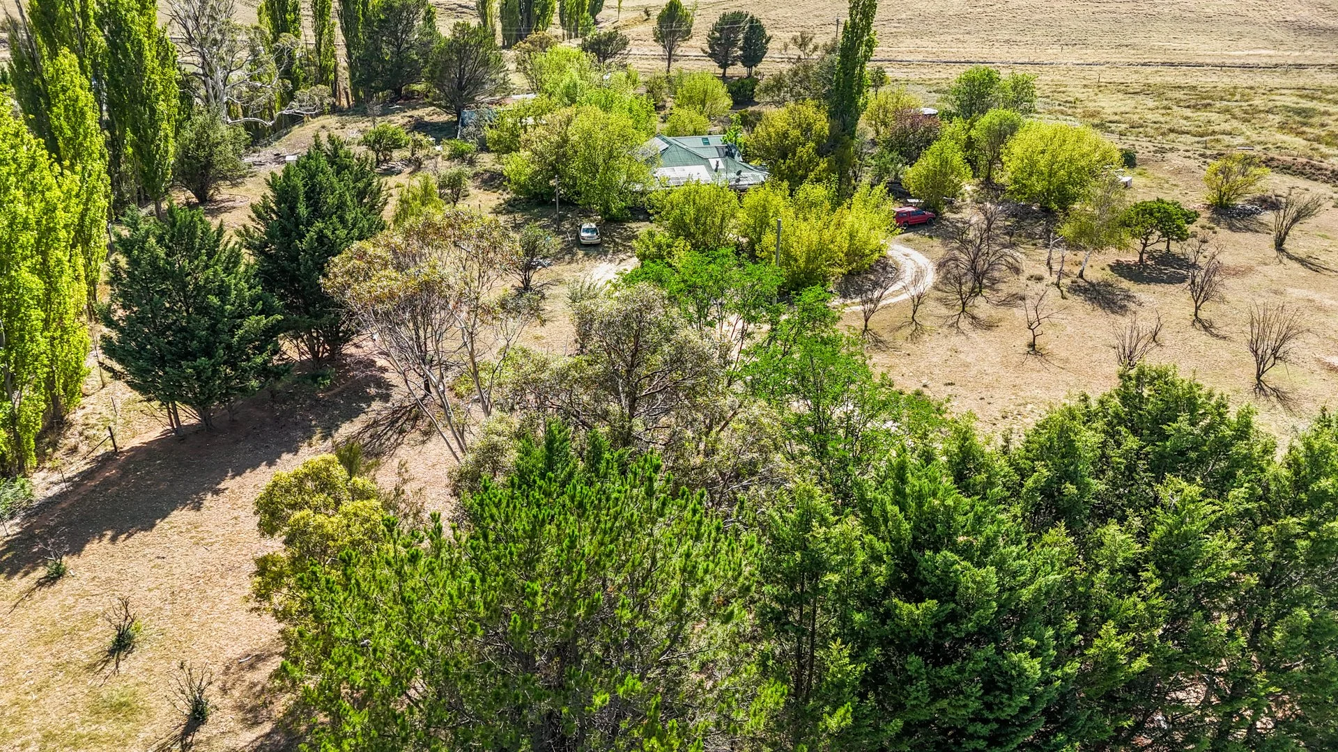 Additional image 12 of 2 Ovens Street, Bredbo NSW 2626