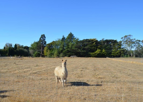 10 Arnold Street, Tarleton TAS 7310