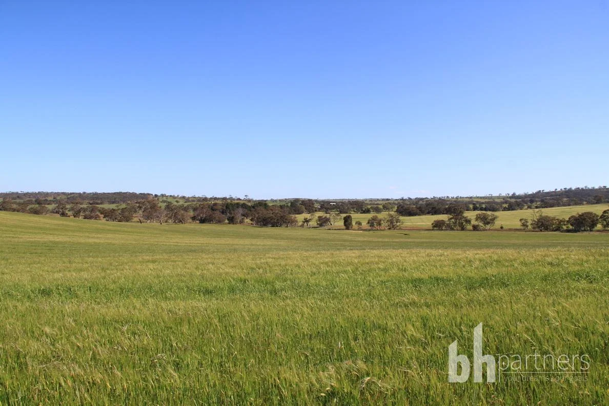 Additional image 21 of Section 332 and Section 330 & 405 Kubenk Road, Rockleigh SA 5254