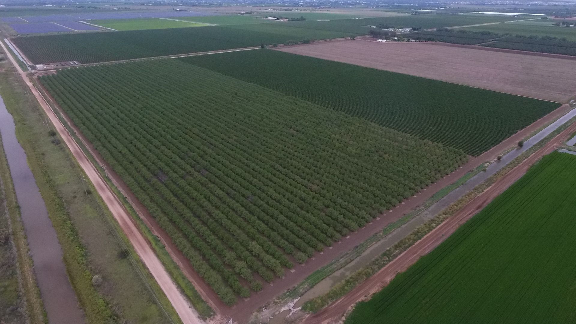 2561 Evans Road, Bilbul NSW 2680 House for Sale Domain