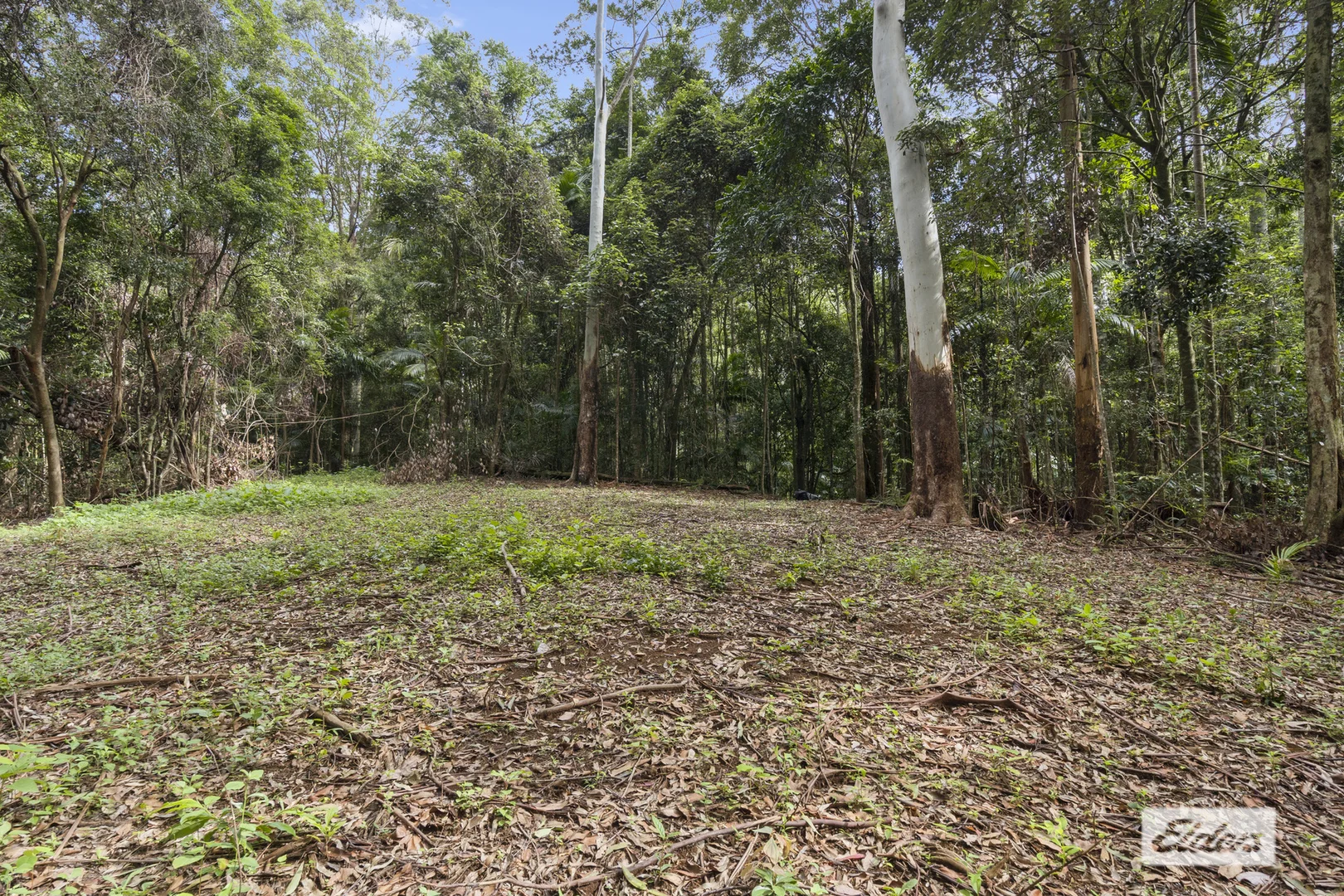 Additional image 12 of 374 Couchy Creek Road, Numinbah NSW 2484