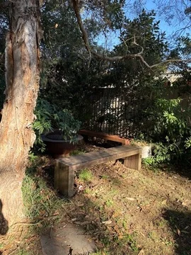 Image 14