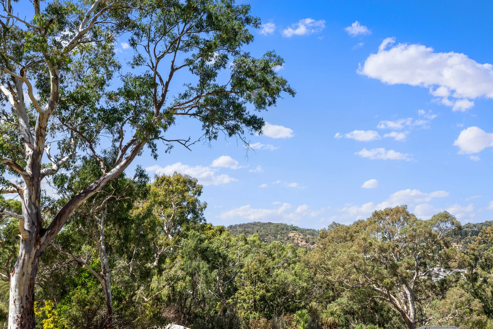 Additional image 16 of 34 Jackson Av, Coromandel Valley SA 5051