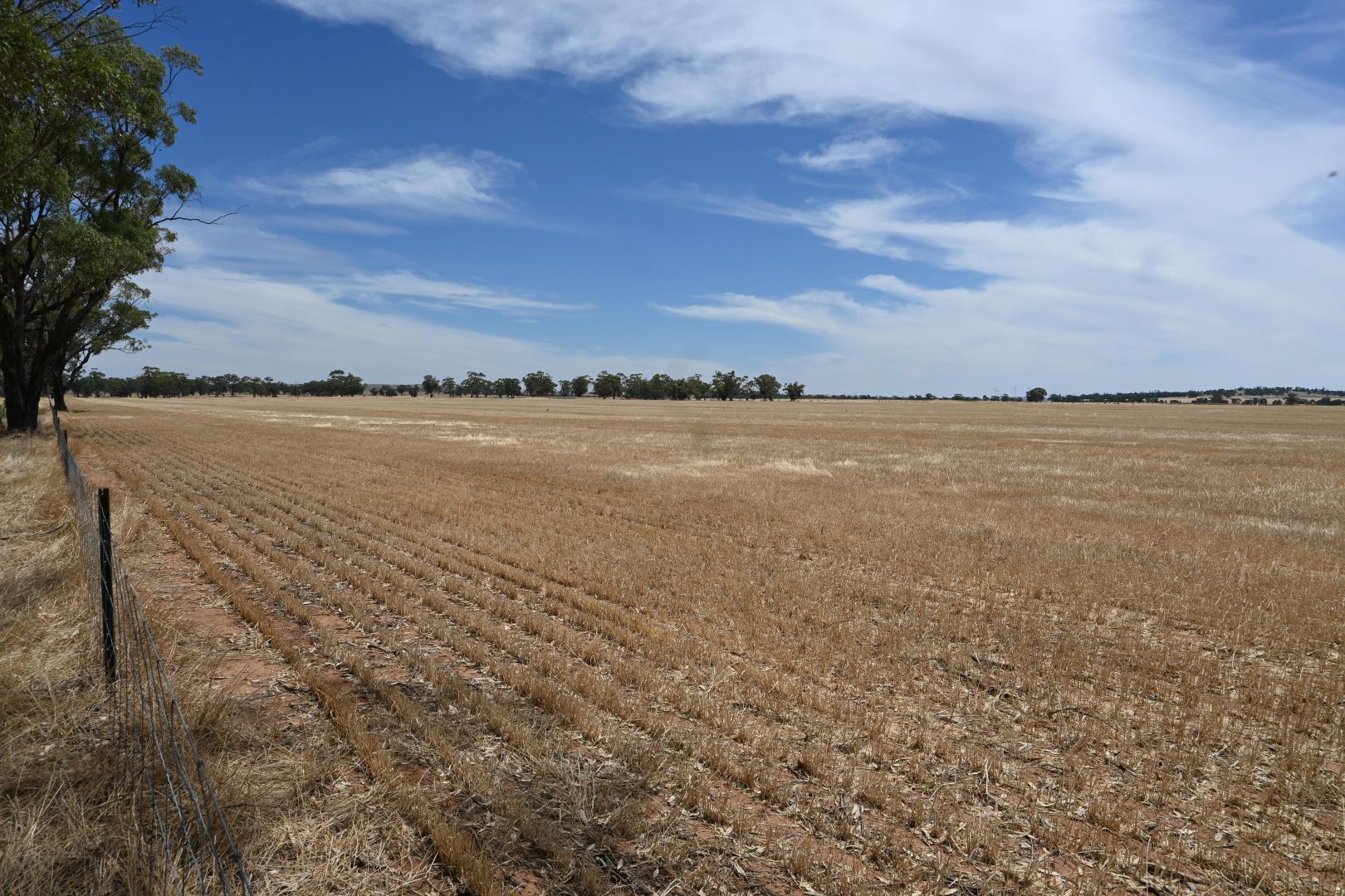 School Road, Richmond Plains VIC 3518, Image 1