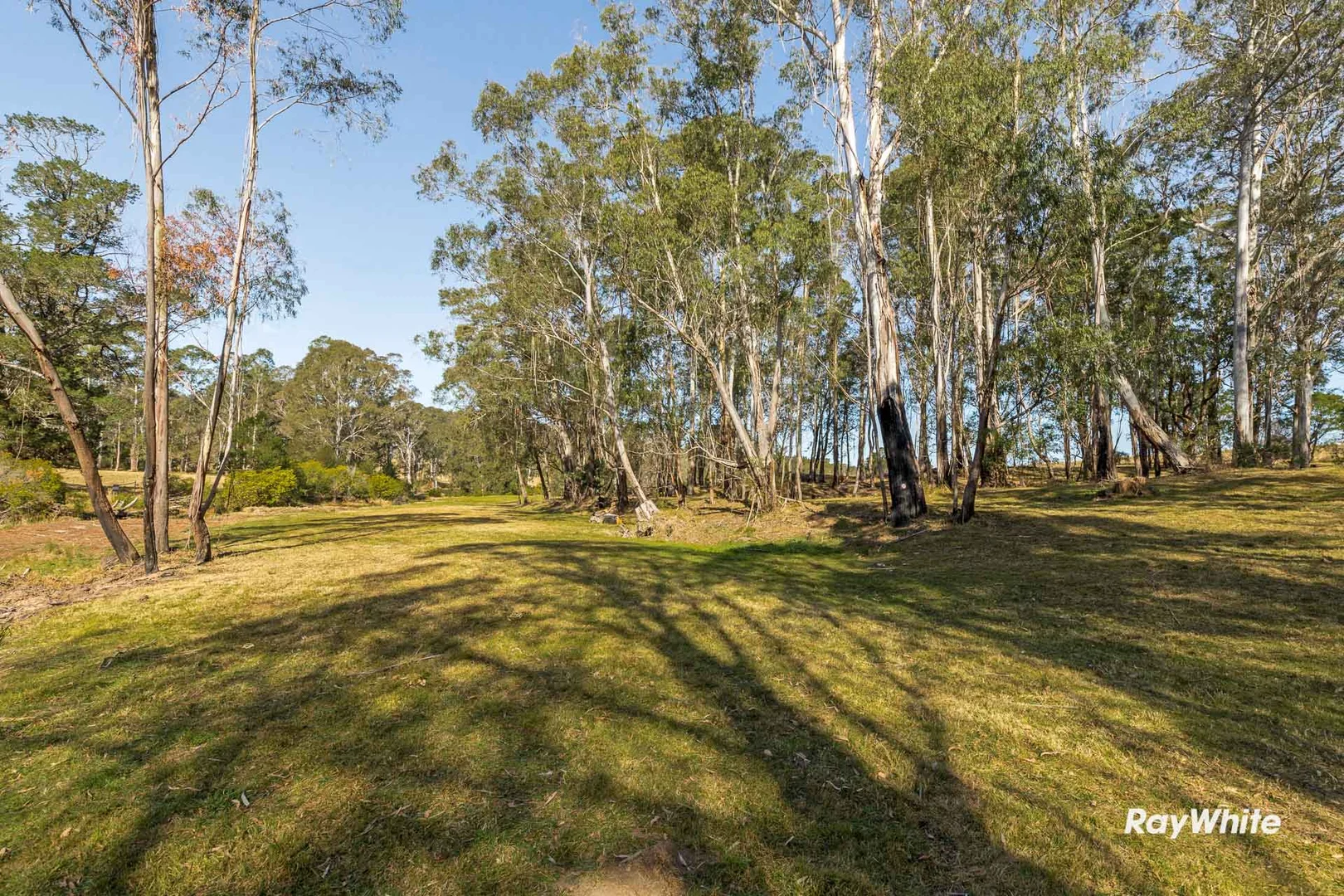 Additional image 20 of 420 Larrys Mountain Road, Moruya NSW 2537