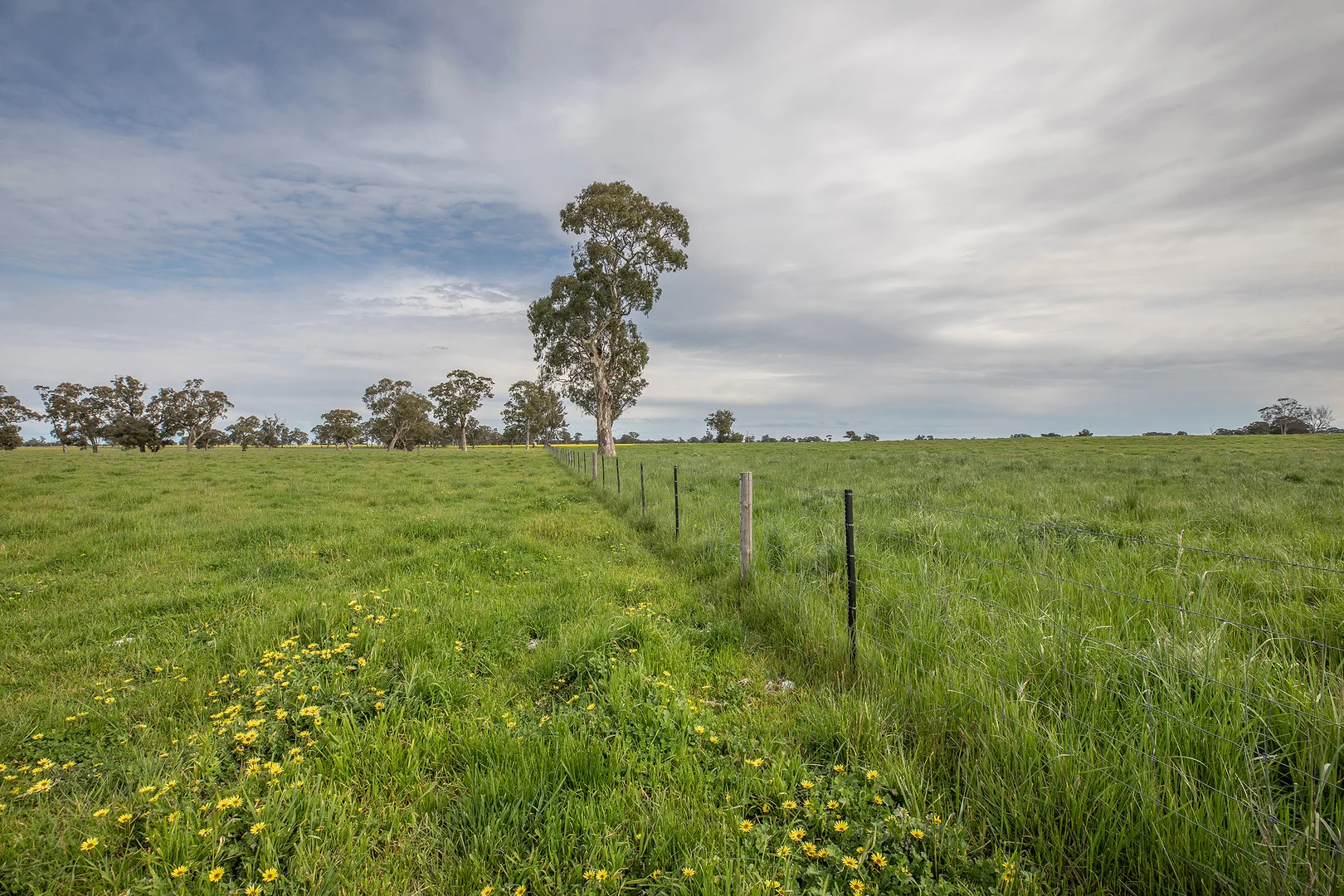 Image 15