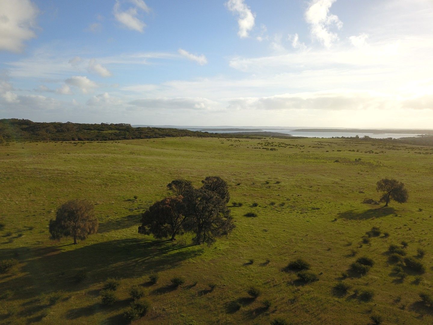 Lot 199 Farm Beach Road, Wangary SA 5607, Image 0