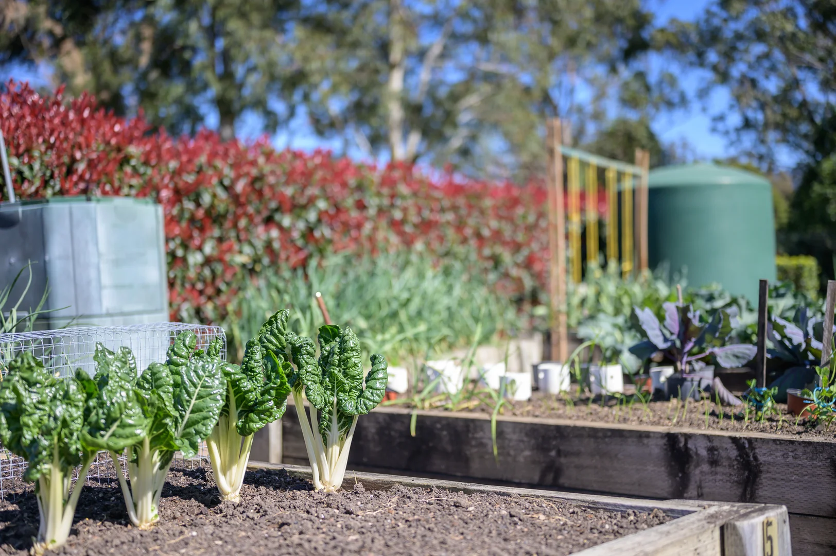 Additional image 11 of 20/22 Victoria Street, Berry NSW 2535