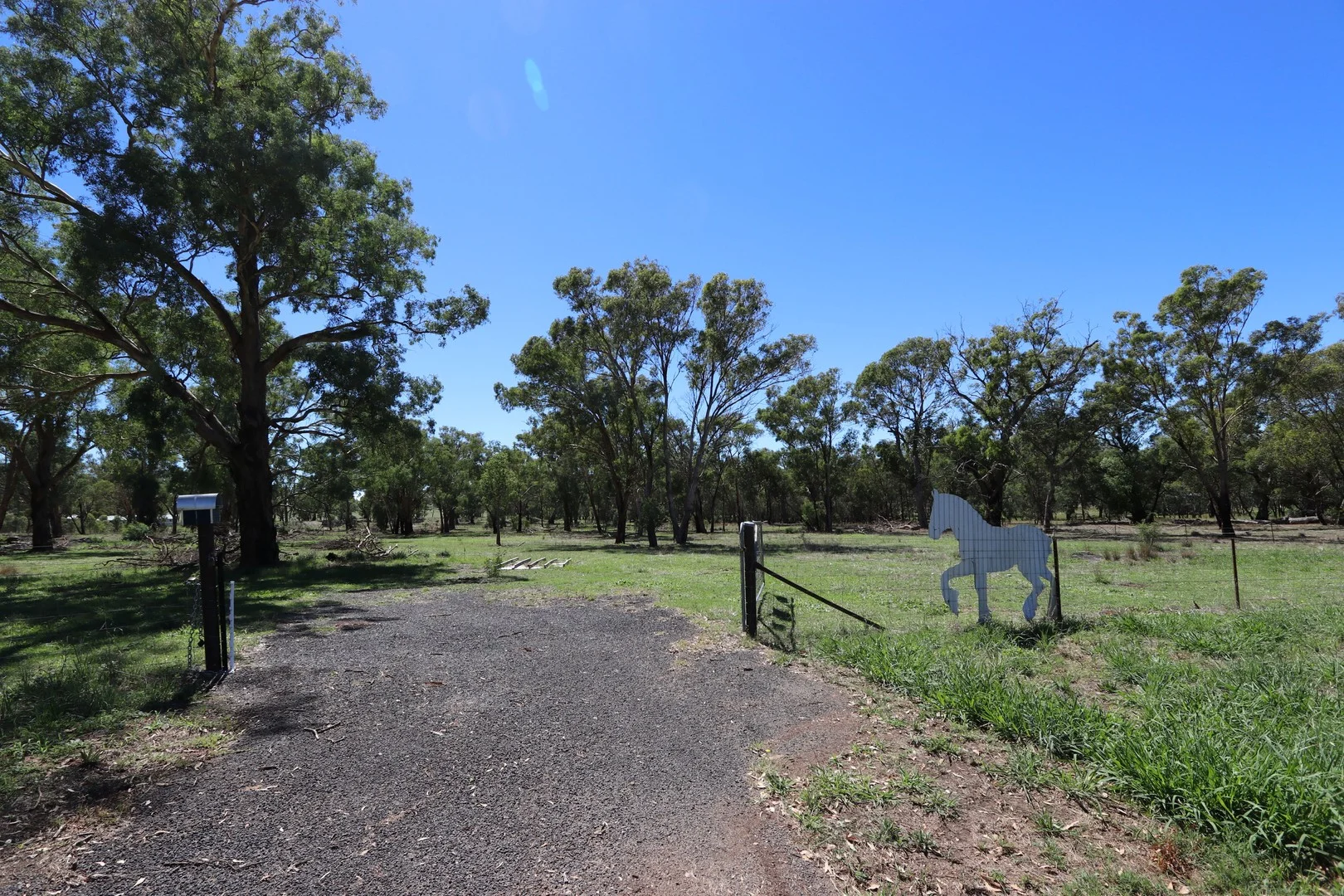Primary image of 52 BENDICK MURRELL ROAD, Bendick Murrell via, Young NSW 2594