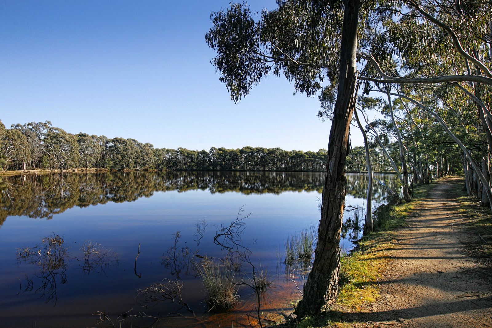 Lots 79 & 80 Wells Court, Kyneton VIC 3444, Image 2