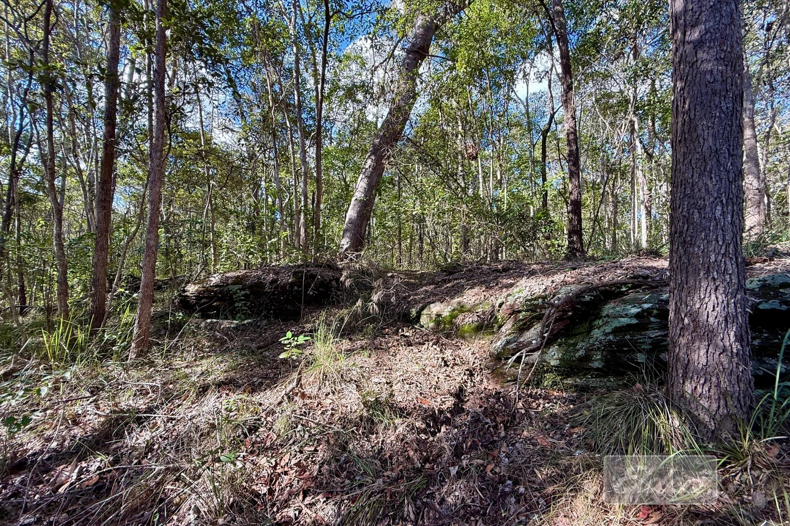 Image 14