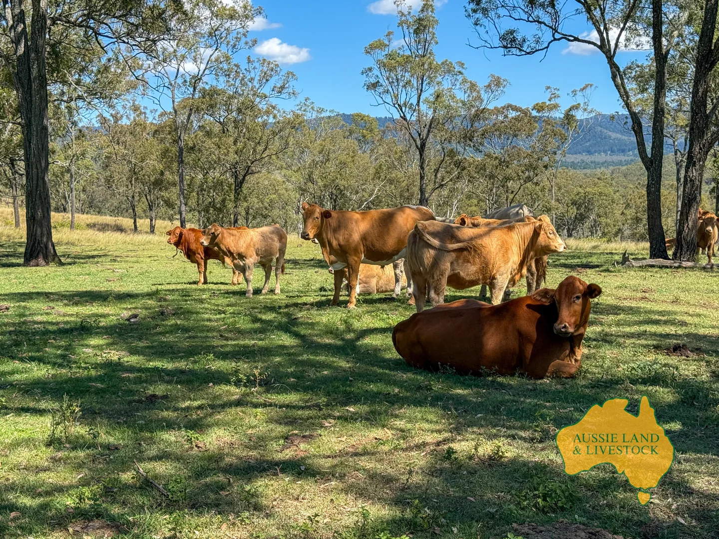 Additional image 11 of 55, . TIM SHEA CREEK ROAD, Wengenville QLD 4615