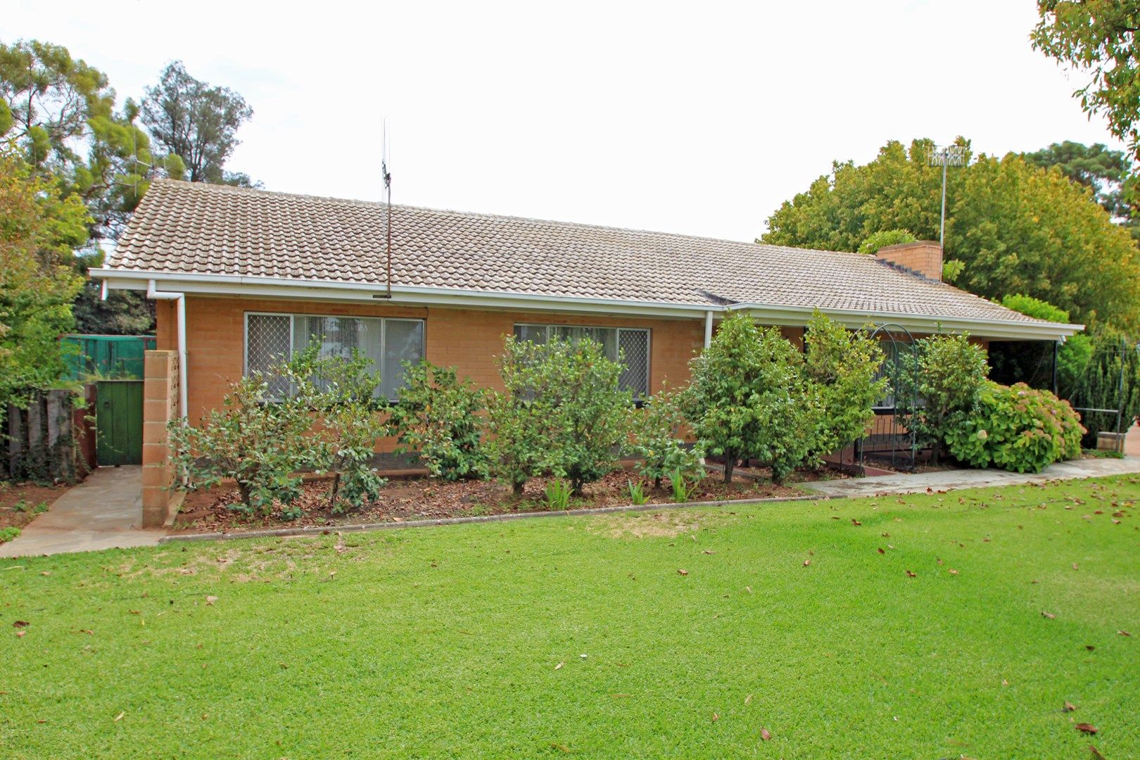 33 Riverview Drive, Paringa SA 5340, Image 0