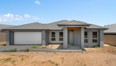 Picture of 11 Arnott Loop, NORTH ROTHBURY NSW 2335
