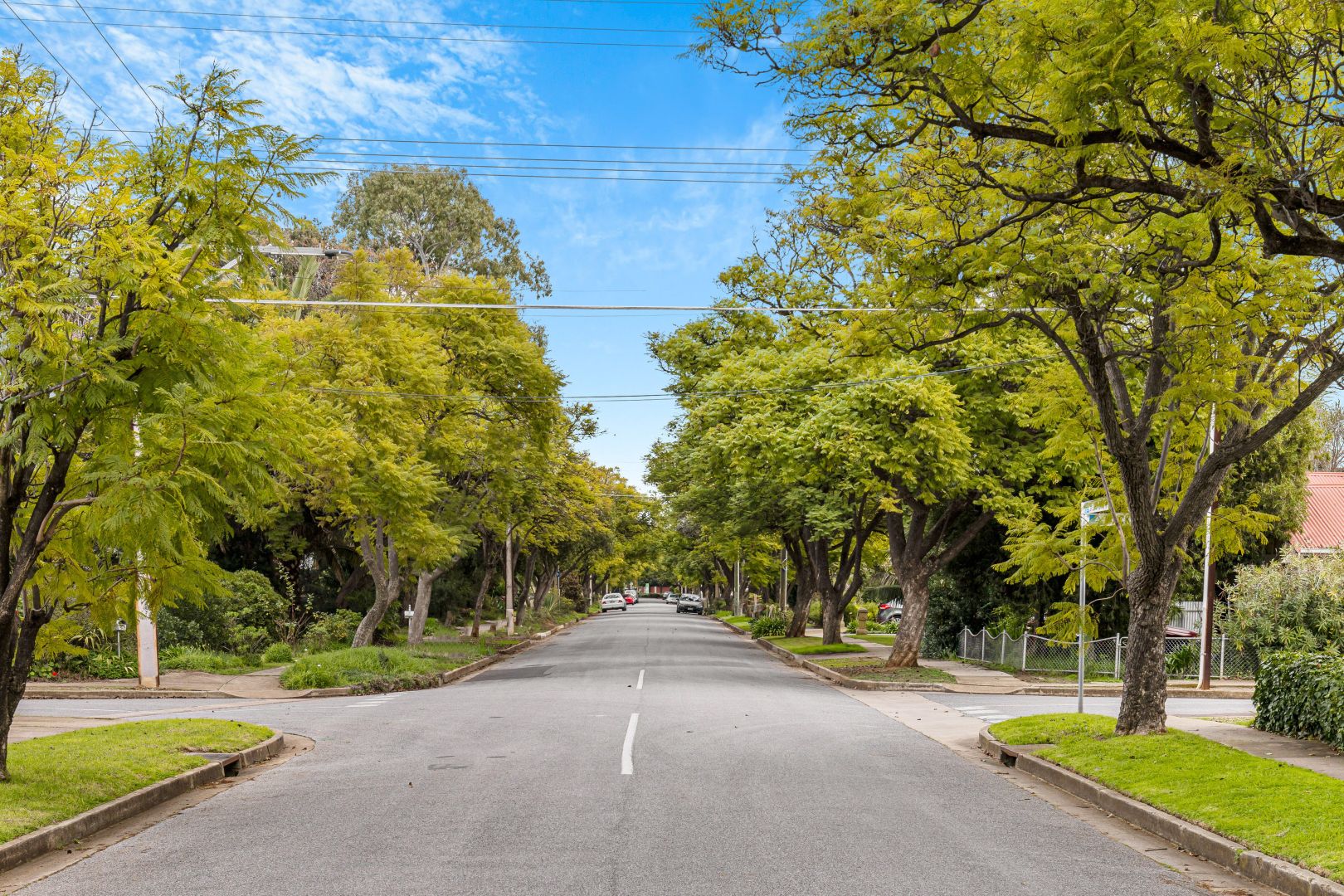 11 St Lawrence Avenue, Edwardstown SA 5039, Image 1