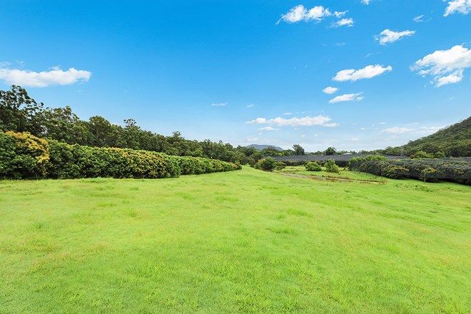 Picture of Lot 2 Lychee Parklands, BEERWAH QLD 4519