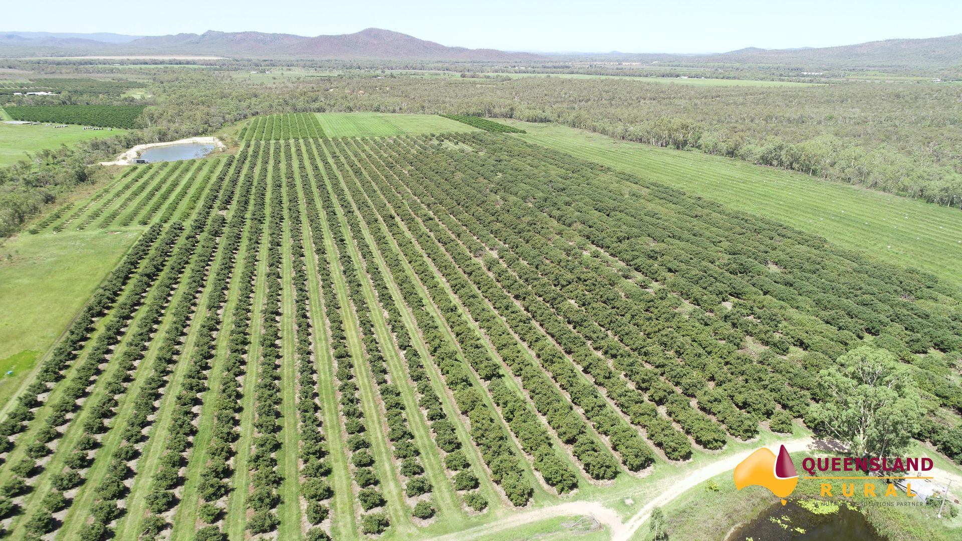 Mutchilba QLD 4872, Image 2