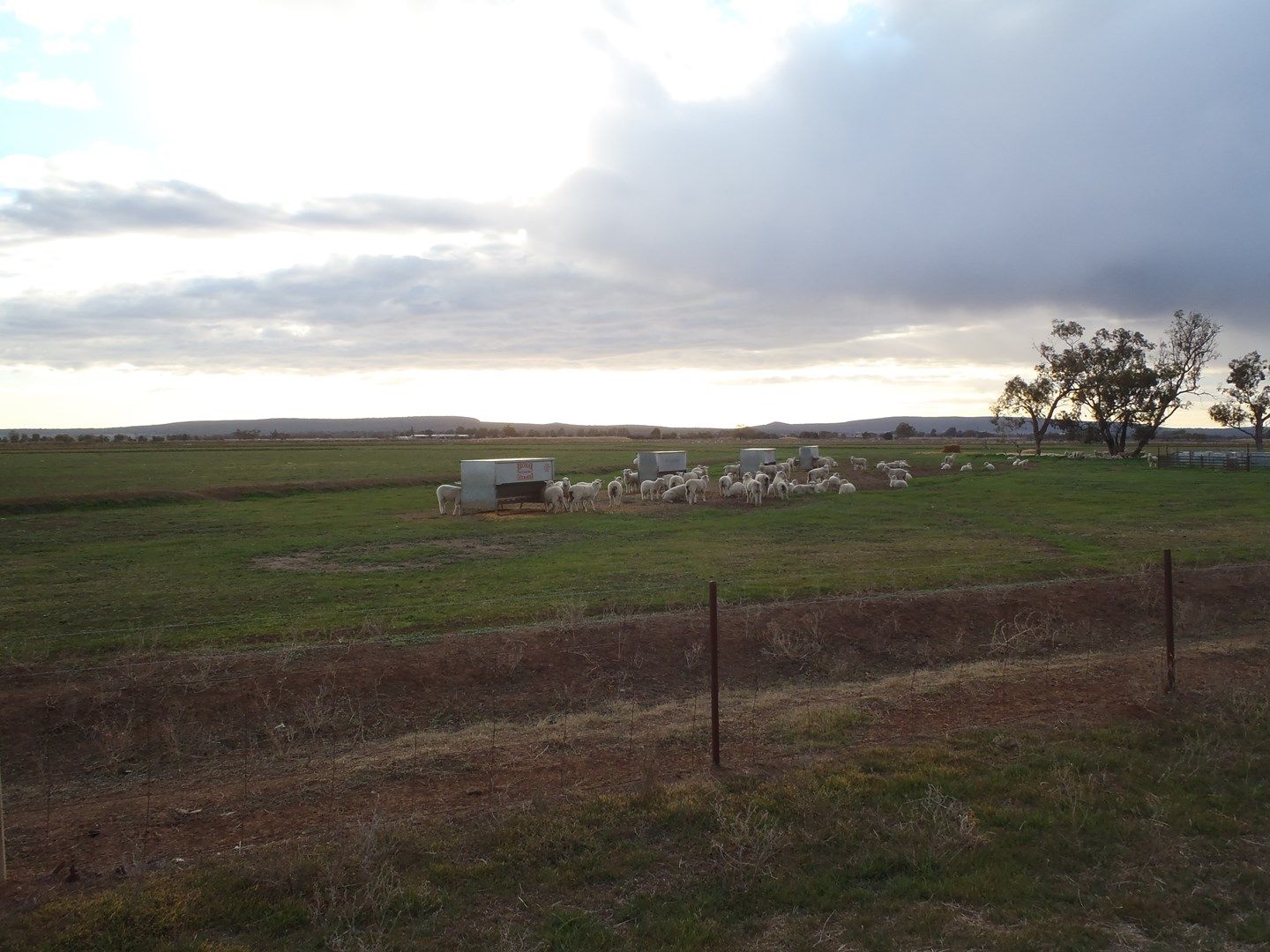 FARM 209 KOONADAN ROAD, Leeton NSW 2705, Image 0