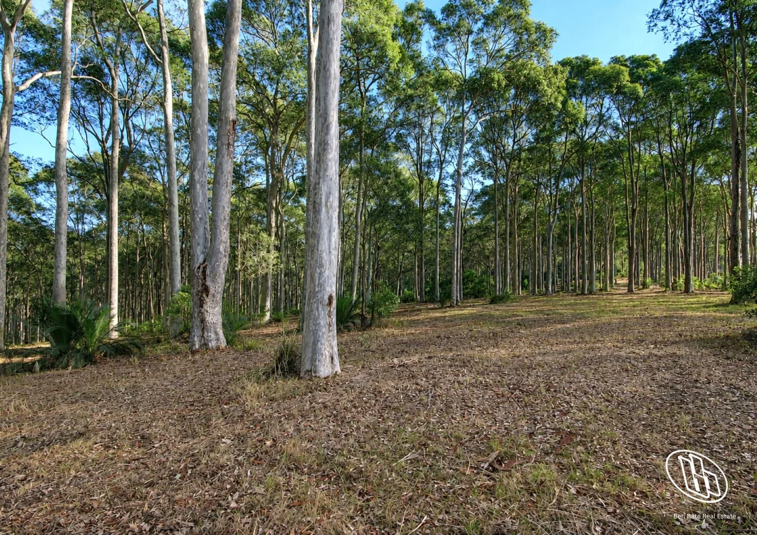 Image 8