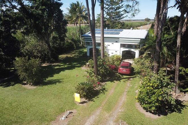 Picture of 464 Sunnybank Road, BRAEMEADOWS QLD 4850