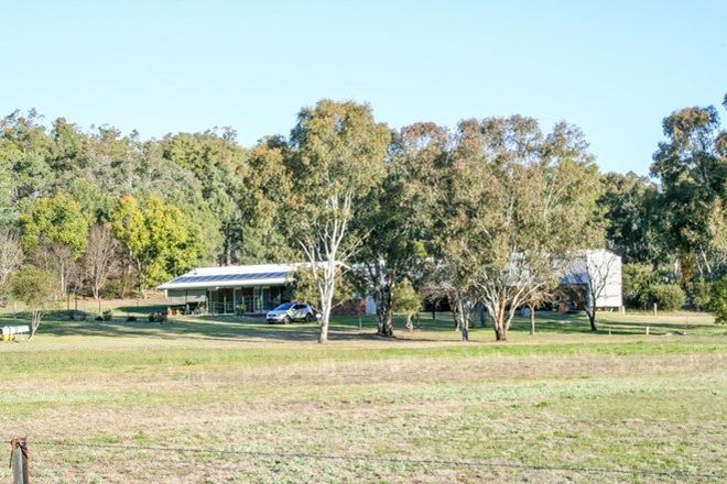 Picture of 12921 Gwydir Highway, WARIALDA NSW 2402