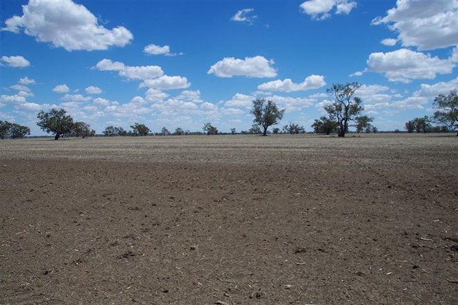 Picture of . Middle Route Road, BURREN JUNCTION NSW 2386