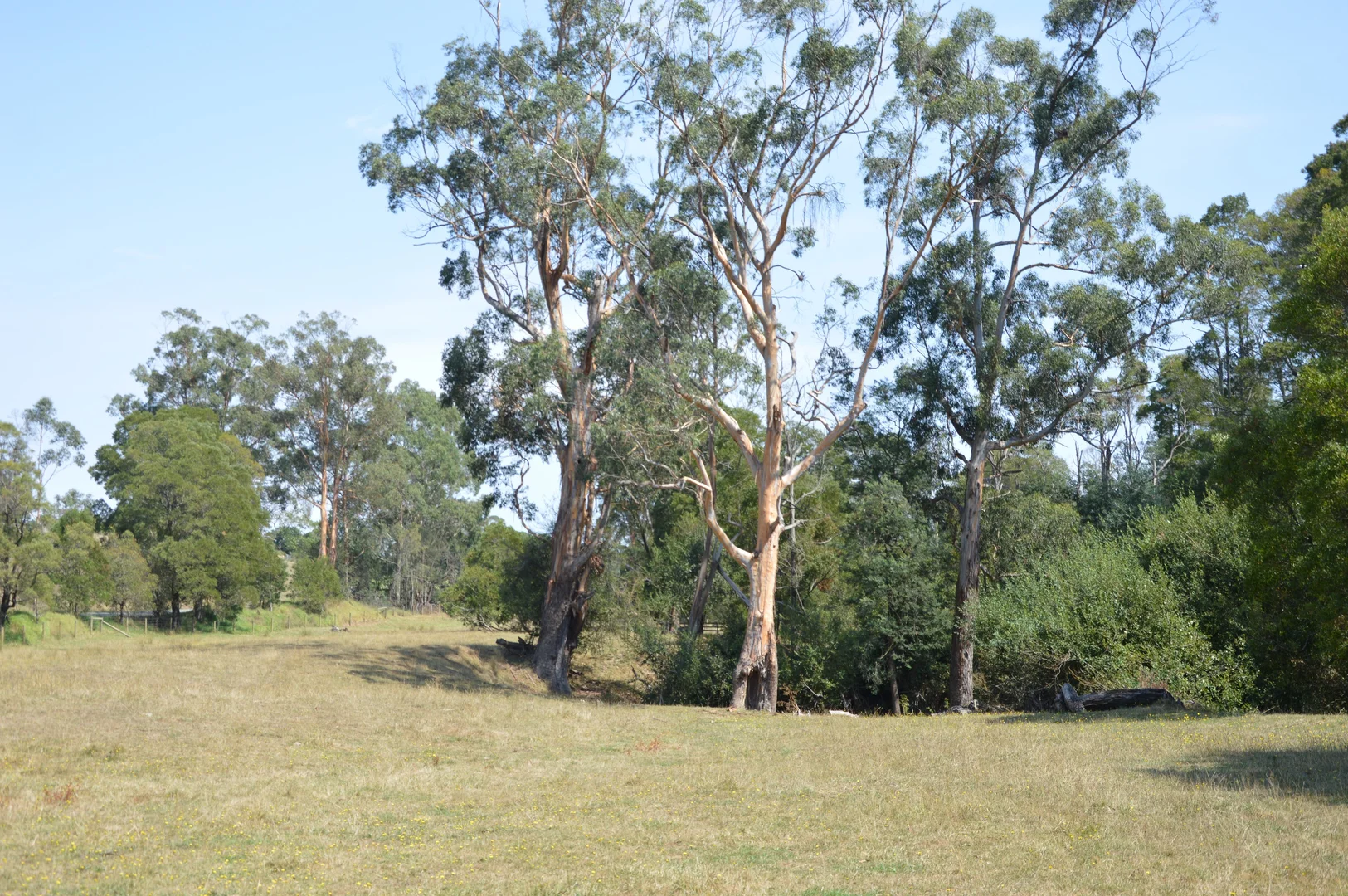 Additional image 17 of 790 Soldiers Road, Poowong VIC 3988