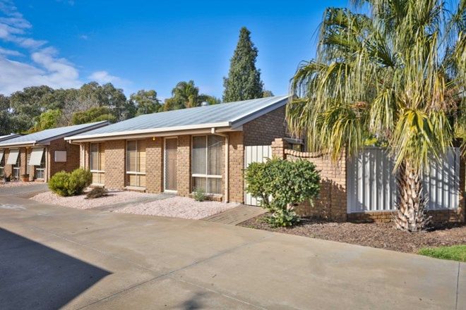 Picture of 1/221 - 223 Adams Street, WENTWORTH NSW 2648