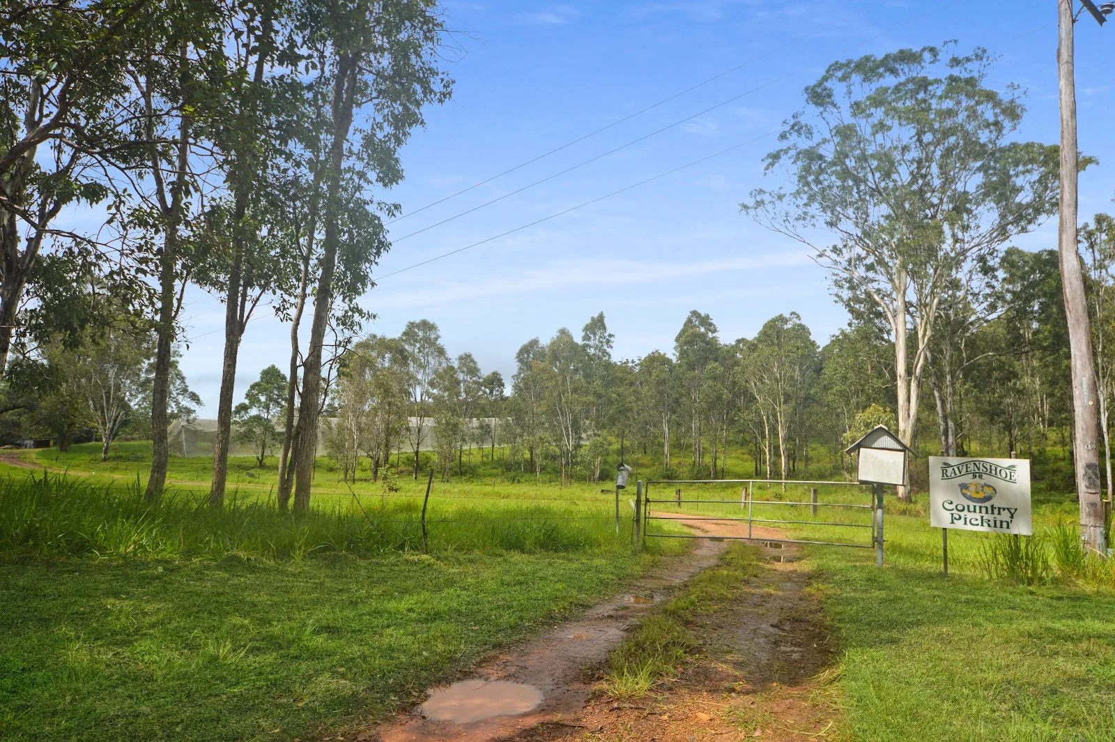 Additional image 5 of 1888 Tumoulin Road, Ravenshoe QLD 4888