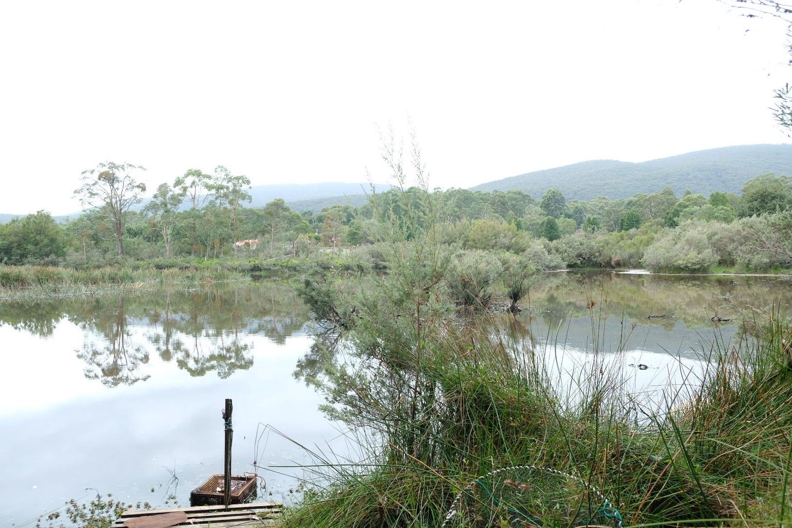 325 Little Yarra Rd, Yarra Junction VIC 3797 Farm for Rent Domain