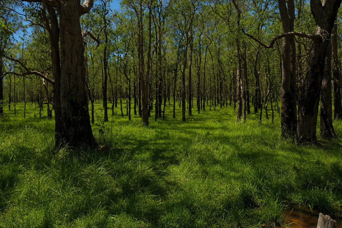 Image 6
