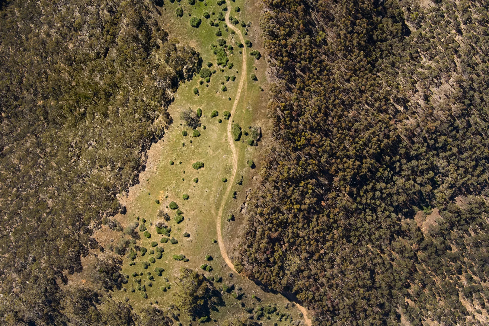 Additional image 11 of 1/128 Kennedys Lane, Faraday VIC 3451