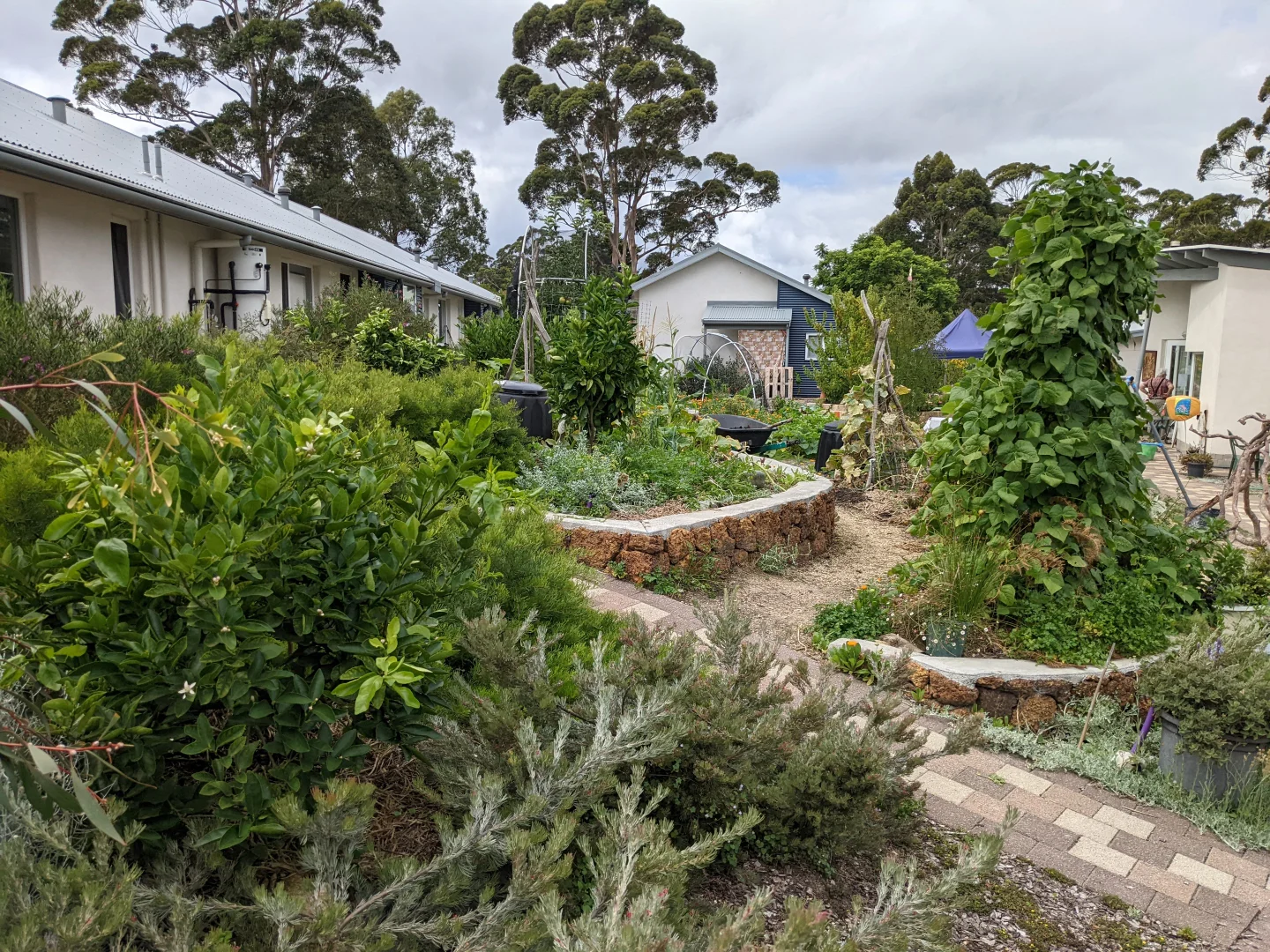 Image 8