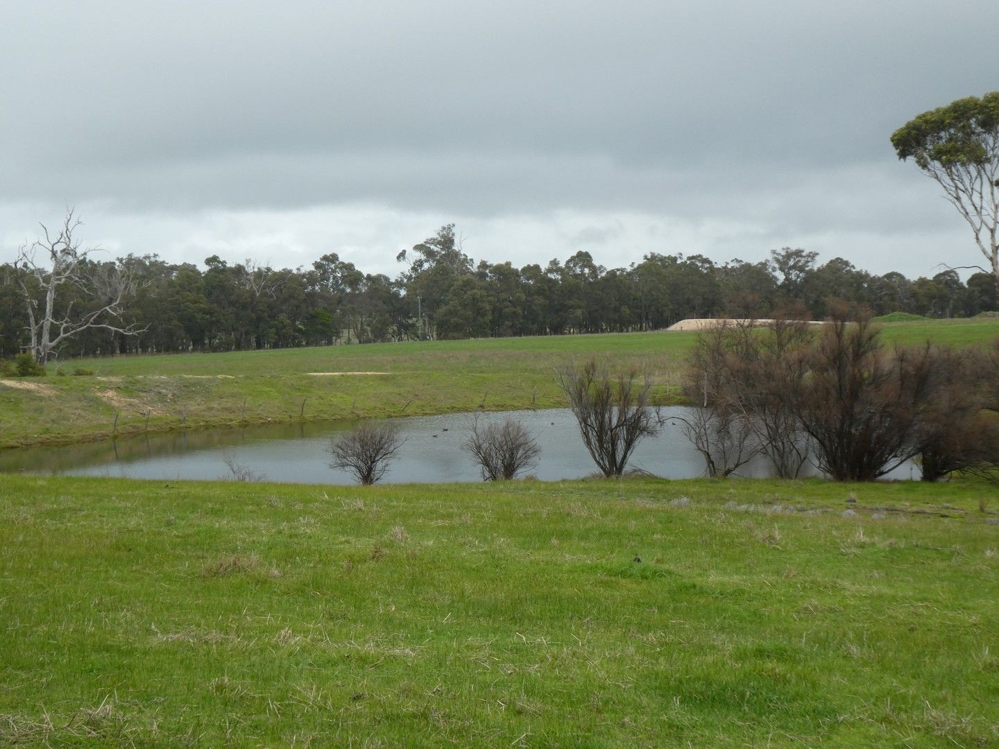 Lot 1019 Jellicoe Rd, Kendenup WA 6323, Image 0